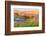 A painterly image of softer hoodoos set against a row of wildflowers and grass.-Sheila Haddad-Framed Photographic Print