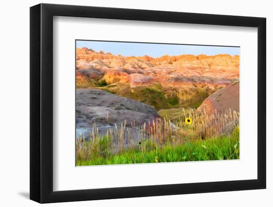 A painterly image of softer hoodoos set against a row of wildflowers and grass.-Sheila Haddad-Framed Photographic Print