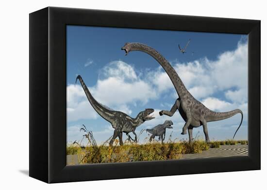 A Pair of Allosaurus Dinosaurs Confront a Giant Diplodocus-null-Framed Stretched Canvas