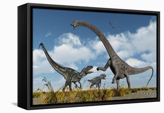 A Pair of Allosaurus Dinosaurs Confront a Giant Diplodocus-null-Framed Stretched Canvas