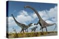Stretched Canvas Print