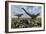 A Pair of Allosaurus Dinosaurs Kill a Camptosaurus Dinosaur-null-Framed Premium Giclee Print