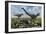 A Pair of Allosaurus Dinosaurs Kill a Camptosaurus Dinosaur-null-Framed Premium Giclee Print