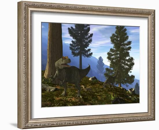 A Pair of Allosaurus Search for a Meal Along a Mountainside Forest-Stocktrek Images-Framed Photographic Print