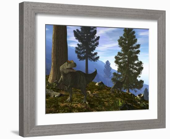 A Pair of Allosaurus Search for a Meal Along a Mountainside Forest-Stocktrek Images-Framed Photographic Print