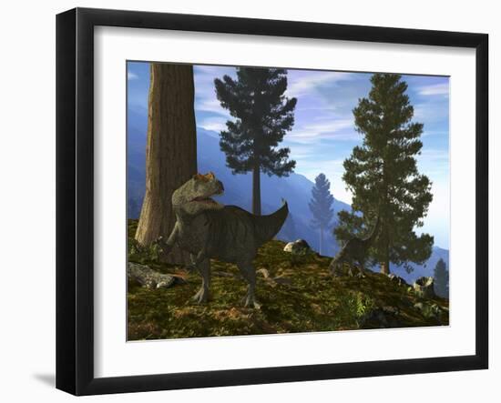 A Pair of Allosaurus Search for a Meal Along a Mountainside Forest-Stocktrek Images-Framed Photographic Print