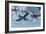 A Pair of American Vought F4U Corsair Aircraft in Flight During World War Ii-null-Framed Art Print