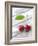 A Pair of Cherries with a Leaf on a Wooden Table-Jürgen Klemme-Framed Photographic Print