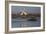 A Pair Of Greater Flamingoes Strut And Posture Close To Pelican Point, In Walvis Bay-Karine Aigner-Framed Photographic Print