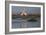 A Pair Of Greater Flamingoes Strut And Posture Close To Pelican Point, In Walvis Bay-Karine Aigner-Framed Photographic Print