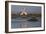 A Pair Of Greater Flamingoes Strut And Posture Close To Pelican Point, In Walvis Bay-Karine Aigner-Framed Photographic Print