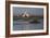 A Pair Of Greater Flamingoes Strut And Posture Close To Pelican Point, In Walvis Bay-Karine Aigner-Framed Photographic Print