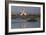 A Pair Of Greater Flamingoes Strut And Posture Close To Pelican Point, In Walvis Bay-Karine Aigner-Framed Photographic Print