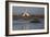 A Pair Of Greater Flamingoes Strut And Posture Close To Pelican Point, In Walvis Bay-Karine Aigner-Framed Photographic Print