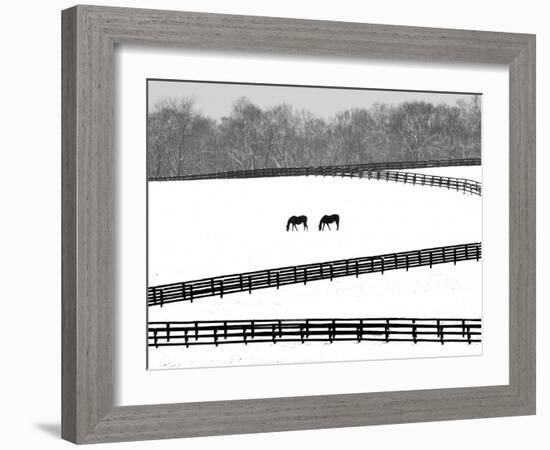 A Pair of Horses Graze Through a Pasture Near Midway, Ky.-null-Framed Photographic Print