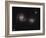 A Pair of Interacting Spiral Galaxies with Swirling Arms-null-Framed Photographic Print