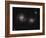 A Pair of Interacting Spiral Galaxies with Swirling Arms-null-Framed Photographic Print