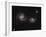 A Pair of Interacting Spiral Galaxies with Swirling Arms-null-Framed Photographic Print