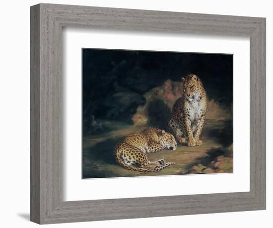 A Pair of Leopards, 1845-William Huggins-Framed Giclee Print