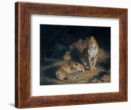 A Pair of Leopards, 1845-William Huggins-Framed Giclee Print