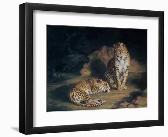 A Pair of Leopards, 1845-William Huggins-Framed Giclee Print