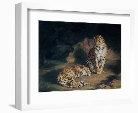 A Pair of Leopards, 1845-William Huggins-Framed Giclee Print