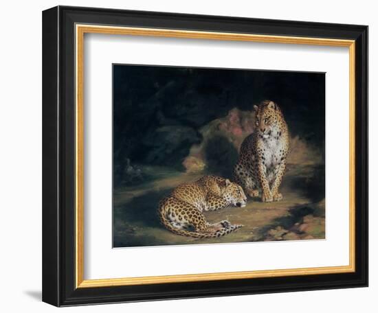 A Pair of Leopards, 1845-William Huggins-Framed Giclee Print