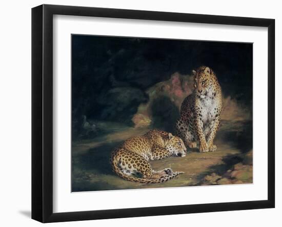 A Pair of Leopards, 1845-William Huggins-Framed Giclee Print
