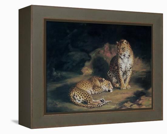 A Pair of Leopards, 1845-William Huggins-Framed Premier Image Canvas