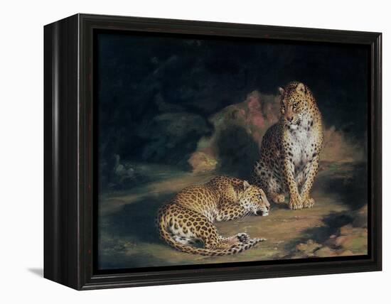 A Pair of Leopards, 1845-William Huggins-Framed Premier Image Canvas