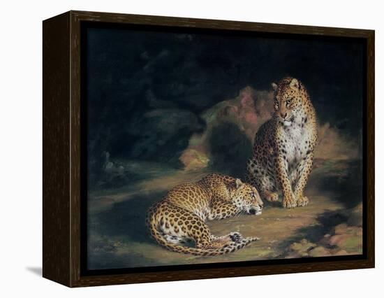 A Pair of Leopards, 1845-William Huggins-Framed Premier Image Canvas