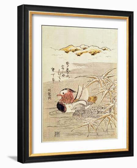 A Pair of Mandarin Ducks-Isoda Koryusai-Framed Giclee Print