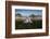 A Pair of Mute Swans, Cygnus Olor, Emerge from the Water on a Misty Morning in Richmond Park-Alex Saberi-Framed Photographic Print