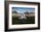 A Pair of Mute Swans, Cygnus Olor, Emerge from the Water on a Misty Morning in Richmond Park-Alex Saberi-Framed Photographic Print