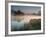 A Pair of Mute Swans, Cygnus Olor, Swim over a Misty Pen Pond at Sunrise in Richmond Park-Alex Saberi-Framed Photographic Print