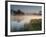 A Pair of Mute Swans, Cygnus Olor, Swim over a Misty Pen Pond at Sunrise in Richmond Park-Alex Saberi-Framed Photographic Print