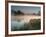 A Pair of Mute Swans, Cygnus Olor, Swim over a Misty Pen Pond at Sunrise in Richmond Park-Alex Saberi-Framed Photographic Print