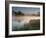 A Pair of Mute Swans, Cygnus Olor, Swim over a Misty Pen Pond at Sunrise in Richmond Park-Alex Saberi-Framed Photographic Print