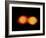 A Pair of Neutron Stars Colliding, Merging, and Forming a Black Hole-null-Framed Art Print