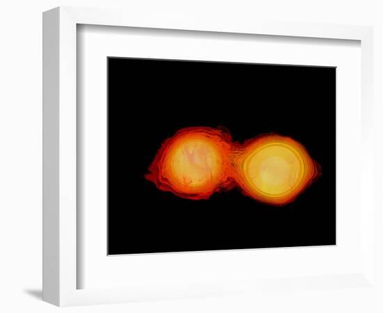 A Pair of Neutron Stars Colliding, Merging, and Forming a Black Hole-null-Framed Premium Giclee Print