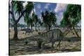 Stretched Canvas Print