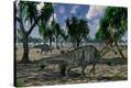 Stretched Canvas Print
