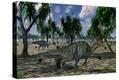 Stretched Canvas Print