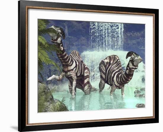 A Pair of Parasaurolophus Feed on Flora Near a Waterfall-Stocktrek Images-Framed Photographic Print