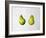A Pair of Pears, 1997-Alison Cooper-Framed Giclee Print
