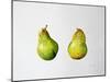A Pair of Pears, 1997-Alison Cooper-Mounted Giclee Print