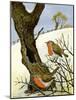 A Pair of Robins-Margaret Loxton-Mounted Giclee Print