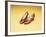 A Pair of Ruby Slippers Worn by Judy Garland in the 1939 MGM film "The Wizard of Oz"-null-Framed Giclee Print