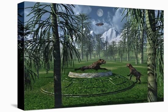 Stretched Canvas Print, , large