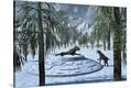 Stretched Canvas Print